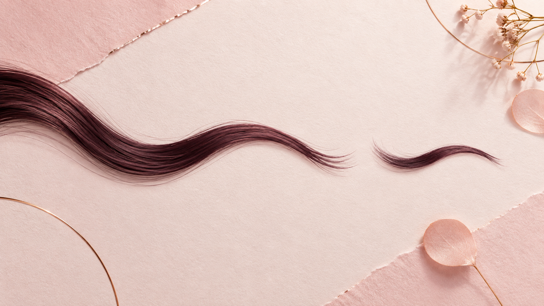 Abstract blush and plum illustration of long hair becoming shorter for a trim-before-shaving guide